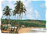 anjuna-beach