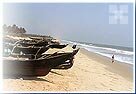 Benaulim - Beach - Goa
